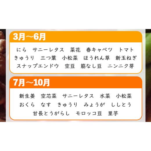 ふるさと納税 高知県 香南市 高知県香南市産 旬のお野菜詰合せ(10〜13品目) pr-0007