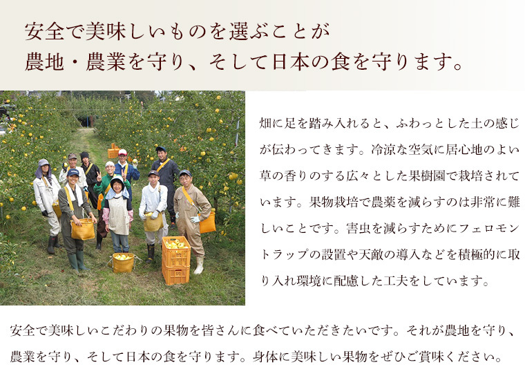 長野県産　洋梨　ルレクチェ３ｋｇ無化学肥料・農薬５割減・特別栽培洋ナシ