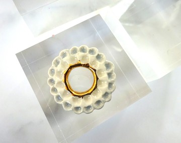 花胸針大麗花白色和灰