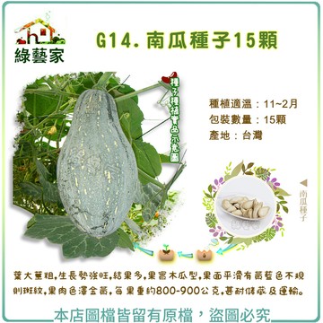 【綠藝家】G14.南瓜種子15顆 葉大莖粗，生長勢強旺，結果多，果實木瓜型