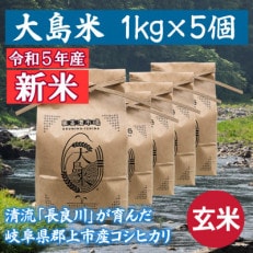 「令和5年産 玄米」大島米 1kg×5個 岐阜県郡上市産コシヒカリ