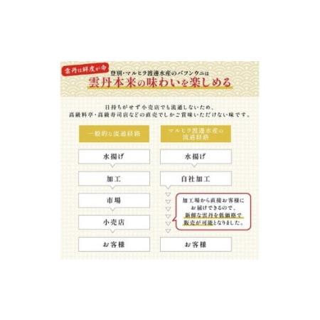 ふるさと納税 無添加　極上エゾバフンウニ塩水パック100g D：24年4月上旬〜5月下旬迄 北海道登別市