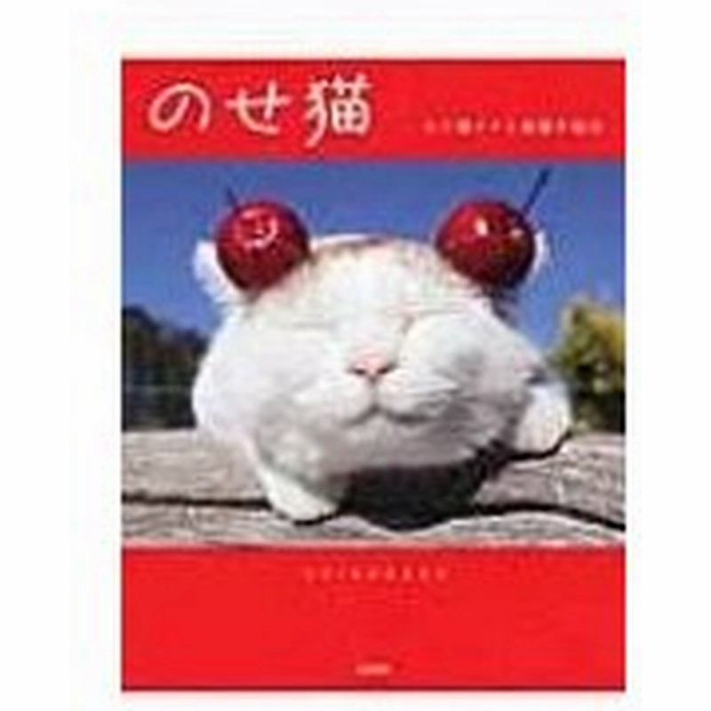 のせ猫 かご猫シロと家族の毎日 Shironeko 本 通販 Lineポイント最大0 5 Get Lineショッピング