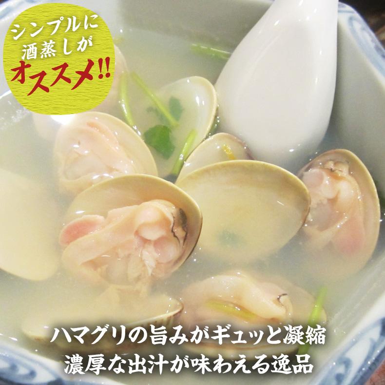 はまぐり 殻付きハマグリ 500g 砂抜き済ですぐ料理に使える！ 殻付はまぐり ミスハマグリ