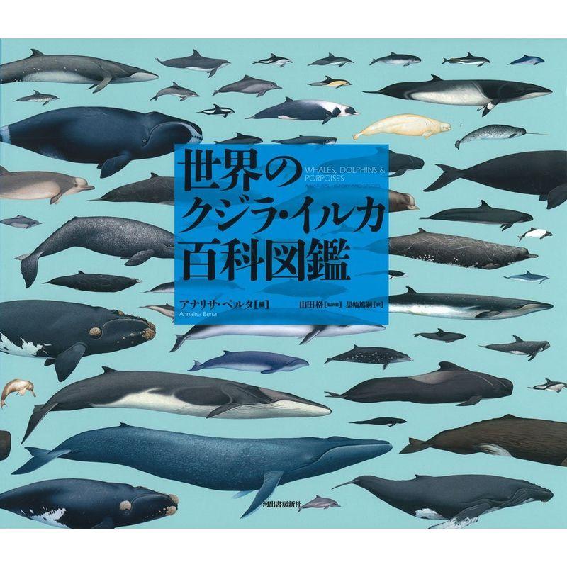 世界のクジラ・イルカ百科図鑑