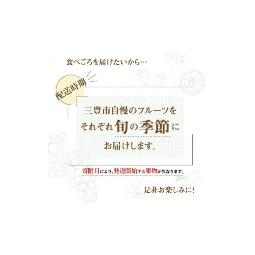 ふるさと納税 香川県 三豊市 M64-0070_産地厳選三豊のフルーツ４回定期便　H