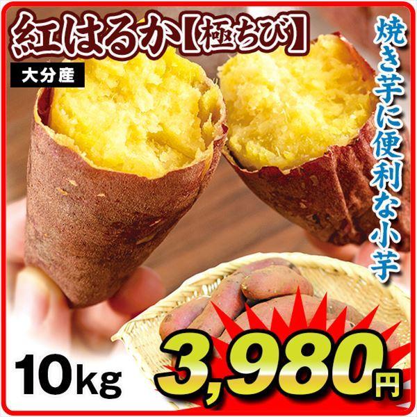 さつまいも 10kg 大分産 紅はるか ご家庭用 送料無料 食品