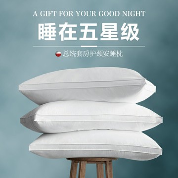 枕頭夏季男護頸椎助睡眠宿舍單個裝整頭枕芯一對裝家用靠枕酒店枕