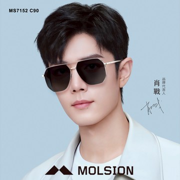 MOLSION 偏光太陽眼鏡 MS7152 C90 雙槓多邊框 肖戰配戴款 - 金橘眼鏡