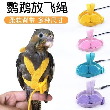 【川澤百貨】【可開統編】鸚鵡放飛遛鳥神器背帶外出飛行虎皮超輕太陽牡丹牽引繩訓練不傷