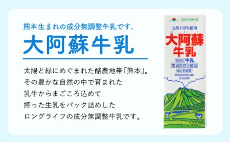 大阿蘇牛乳 1L×6本×12ヶ月 合計72L 紙パック 牛乳 成分無調整牛乳 常温保存可能