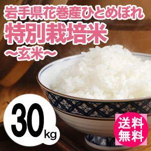 送料無料(北海道・九州・沖縄除く)令和5年産 新米 岩手県花巻産