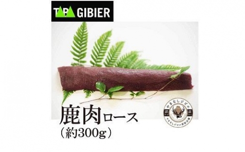 タバジビエ・鹿ロース肉 300g