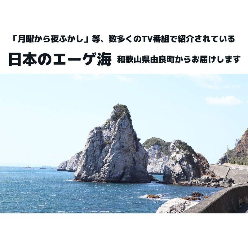 特選 釜揚げしらす900g 高級木箱和歌山県から製造直売 新鮮 産地直送 贈り物にも