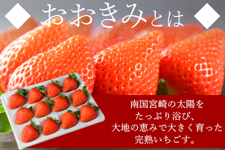 ＜高級いちご「おおきみ」（9～12粒×2パック 合計約760g以上）＞2024年1月中旬～4月末迄に順次出荷