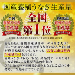 鹿児島県産うなぎ蒲焼 名水慈鰻 大9尾(1尾156g以上)＜計1.4kg以上＞ e8-001