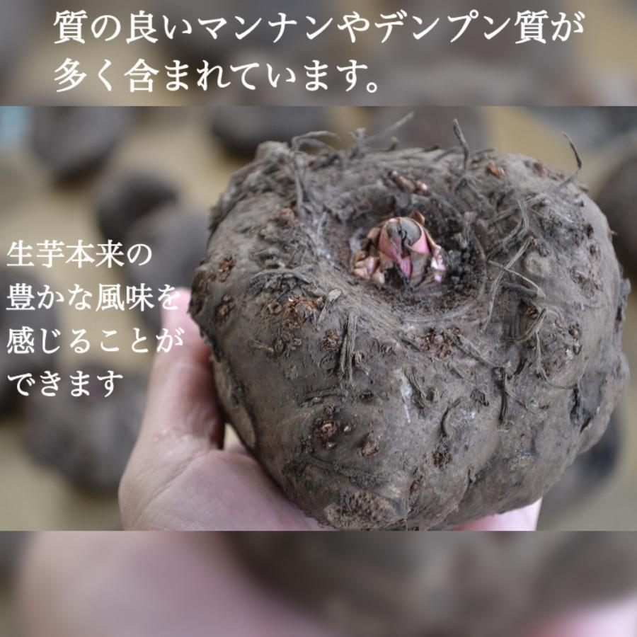 しらたき　糸こんにゃく　こんにゃく　糖質制限　ダイエット食品　低カロリー　生活習慣　生活習慣病予防　蒟蒻　生芋糸こんにゃく　15個セット