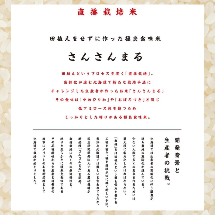 新米 米 お米 さんさんまる 北海道産 10kg 令和5年産