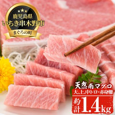 ふるさと納税 いちき串木野市 天然南マグロ贅沢三昧　大トロ〜赤身　約1.4kg