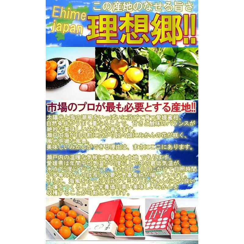 宇和の南風 みかん 極早生・温州品種 約3kg 3S?Sサイズ 愛媛県産 小玉限定 JAえひめ南にて厳選えひめが誇る旬の味