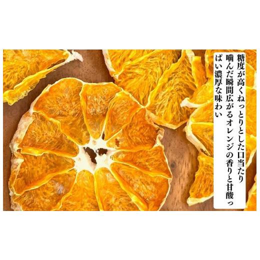 ふるさと納税 和歌山県 有田川町 ドライフルーツ しらぬいチップ 100g 20g × 5袋 和歌山県産 果物使用 自社製造 