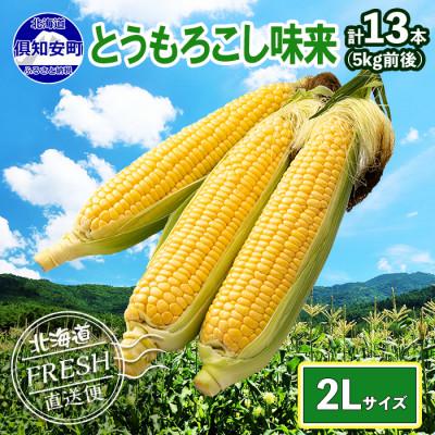 ふるさと納税 倶知安町 2024年 先行受付 北海道 倶知安 とうもろこし 味来(みらい) 2Lサイズ 5kg前後 産地直送