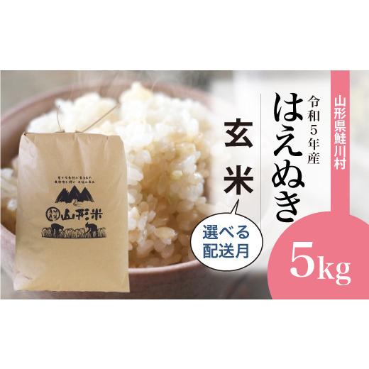 ＜令和5年産＞ 鮭川村産 はえぬき  5kg （5kg×1袋）