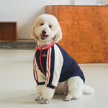 秋冬大型犬狗狗衣服加厚保暖拉布拉多金毛邊牧巨貴寵物大狗衣服潮