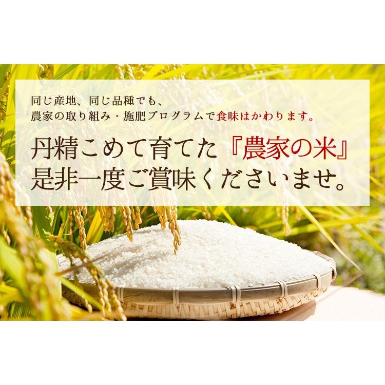 ＼新米入荷／ 米 玄米 5kg コシヒカリ 厳選農家 玄米 白米 選択可 令和5年兵庫県産 産地直送