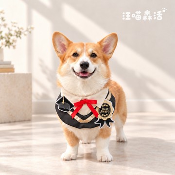 【汪喵森活】 學士服領巾 學生領巾 畢業快樂 畢業服 寵物領巾 萬聖節 寵物圍兜 柯基 法鬥 柴犬 比熊 貓狗領巾 貓咪