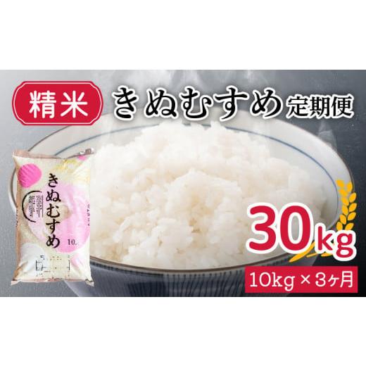 ふるさと納税 山口県 下関市 新米 令和5年産 きぬむすめ 10kg×3回 精米 やまだ農園 豊田 下関