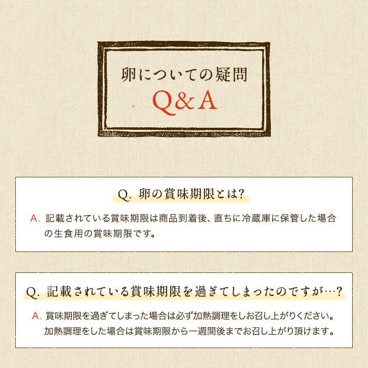 櫛田養鶏場 くしたま 10個入 (赤卵)