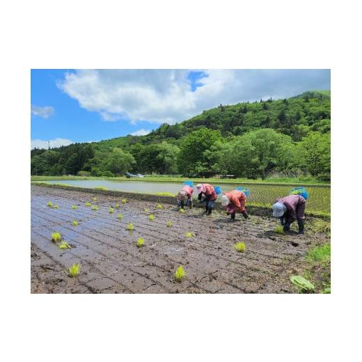 ふるさと納税 岩手県 遠野市  無肥料 無農薬 の ササニシキ 白米 精米 5kg 勘六縁 の お米