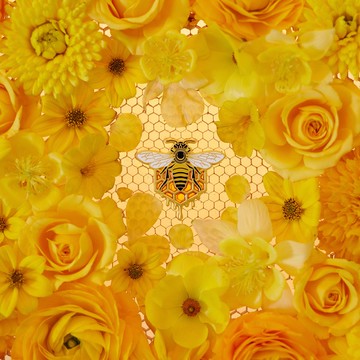 daparo 中華蜜蜂胸針