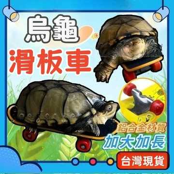 台灣出貨 免運烏龜滑板 手指滑板 烏龜玩具 陸龜玩具 迷你滑板 迷你烏龜滑板 小滑板 烏龜滑板車 寵物滑板