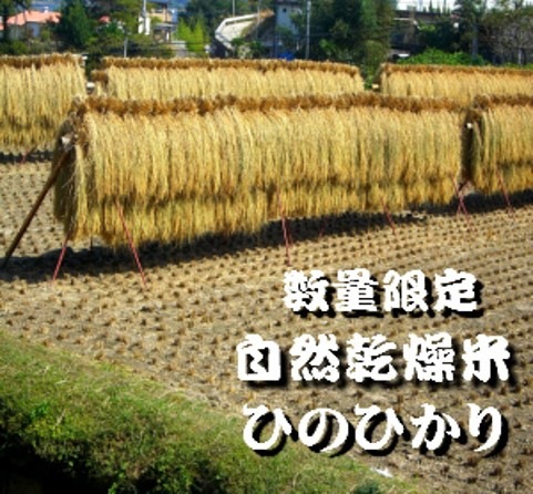 　５年産ひのひかり　広島米　30ｋｇ　送料無料