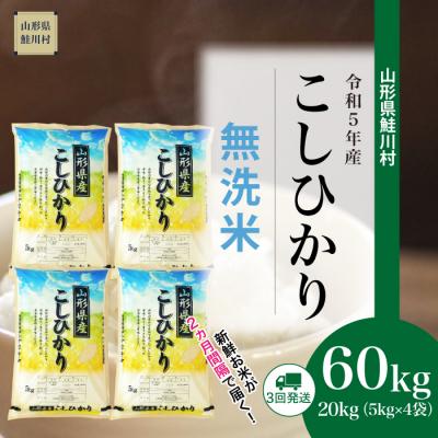 ふるさと納税 鮭川村 令和5年産コシヒカリ60kg定期便(20kg×3回)