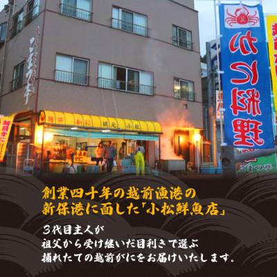 ふるさと納税 越前町 地元鮮魚店厳選  ≪浜茹で≫ 足折れ 越前がに 中サイズ 1杯