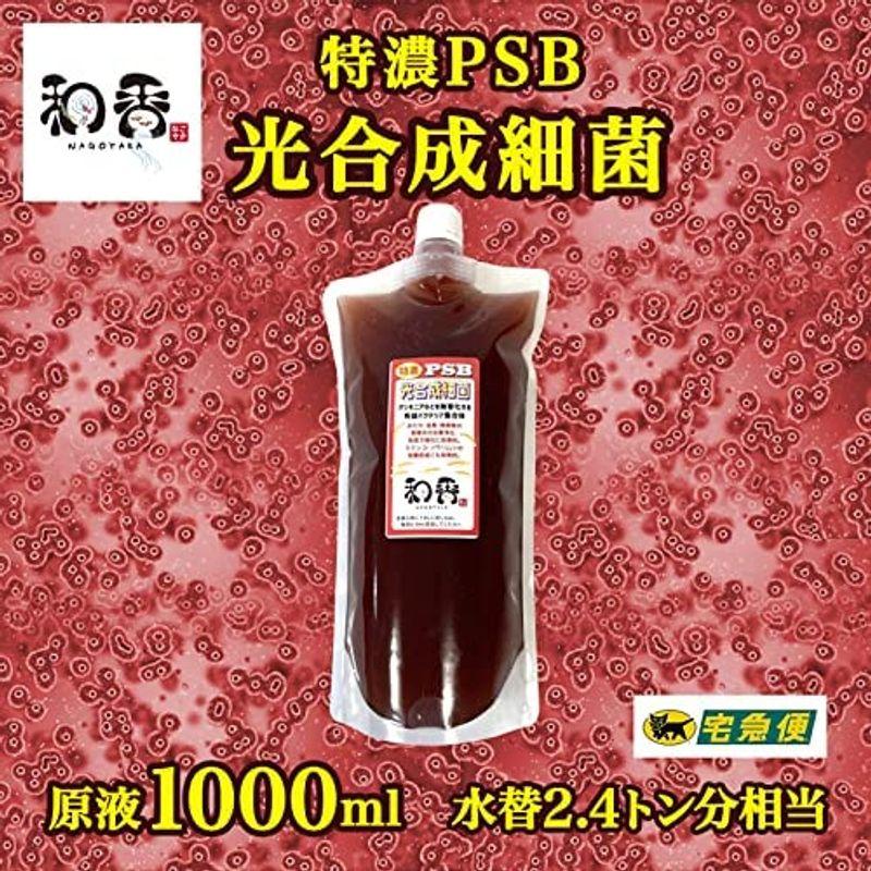 和香 PSB 光合成細菌 1000ml 詳細な動画説明付 高濃度 の純粋な