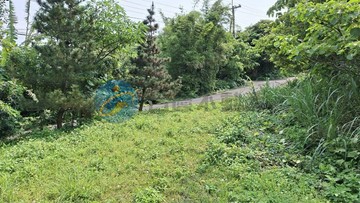 專約新北石門區老梅段整筆大塊土地｜新北市石門區老崩山