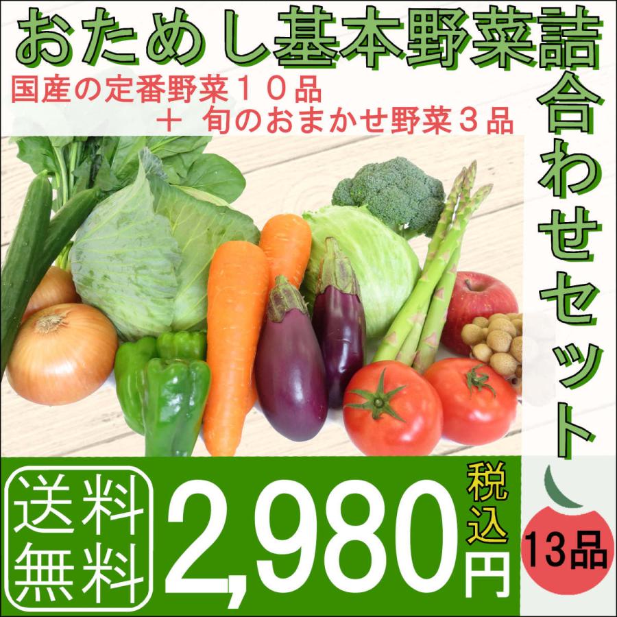 おためし基本野菜詰め合わせ 国産野菜10種と旬のおまかせ3種