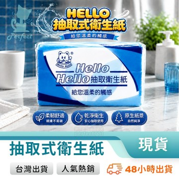 HELLO 抽取式衛生紙 200張 100抽 100%原生紙漿 乾淨衛生 親膚不易破 居家辦公用 玩美 C602