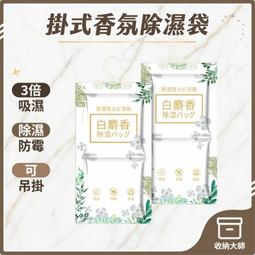 台灣現貨 可掛除溼袋 除濕 除濕包  除溼袋 衣櫃除濕 衣櫥除濕 除溼袋 防潮袋 鞋櫃除濕 防潮 收納大師