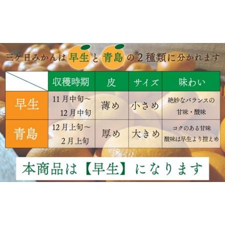 ふるさと納税 先行予約陽だまりファームの早生 三ヶ日 みかん 5kg 1箱 静岡県浜松市