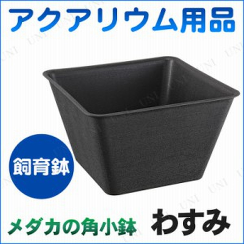 取寄品 メダカの角小鉢 わすみ アクアリウム用品 ペット用品 ペットグッズ メダカ鉢 メダカ水槽 めだか 通販 Lineポイント最大1 0 Get Lineショッピング