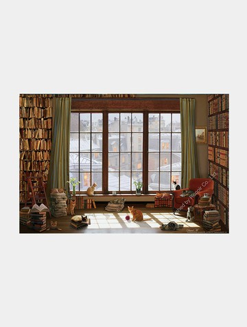 幸福空間/1008片/大衛‧麥可萊恩