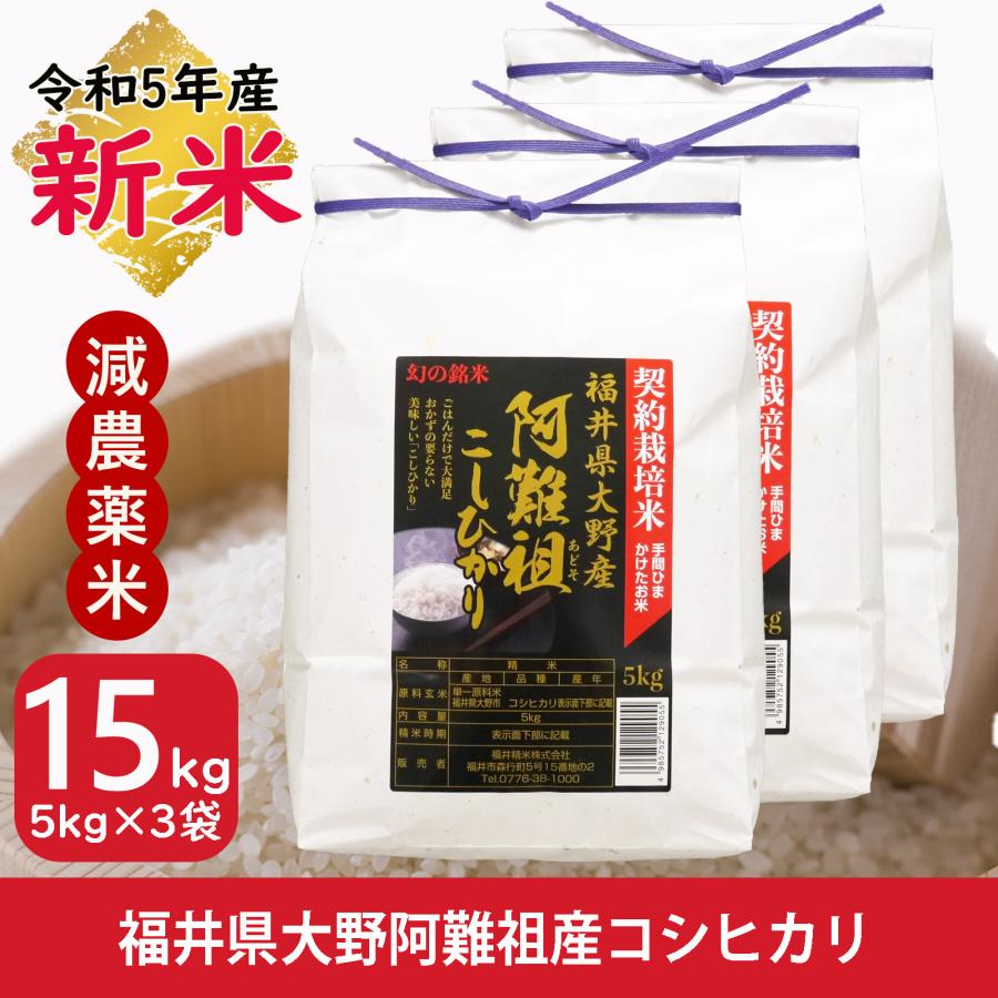 新米 米 コシヒカリ 15kg 5kg×3袋  福井県大野阿難祖産 白米 令和5年産 送料無料