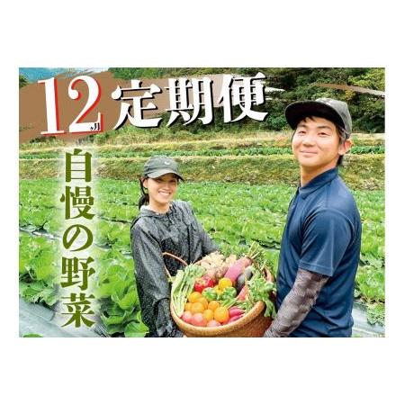 ふるさと納税 新鮮野菜BOX定期便(12カ月便）8〜12種 高知県香美市