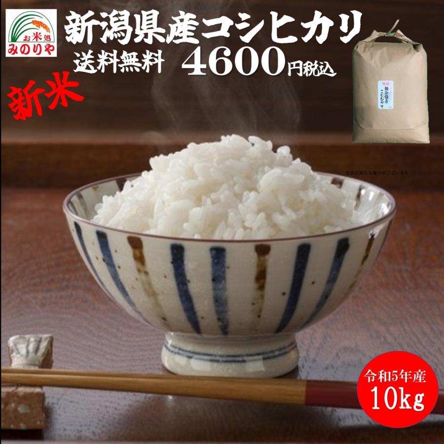 新米 令和5年産 新潟県産コシヒカリ10kg  うまい米 米専門 みのりや（玄米）ポイント消化 送料無料