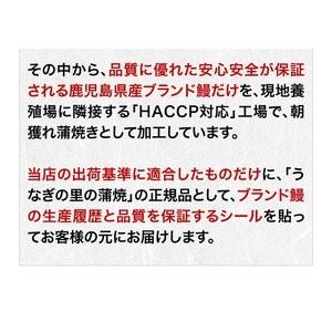 うなぎ 国産 送料無料 鹿児島県 カット蒲焼き メガ盛り2kg 50g x 40食セット 送料無料 クール